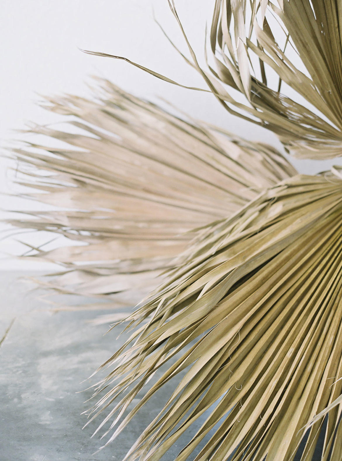 Minimal Modern Summer Wedding Dried Palms